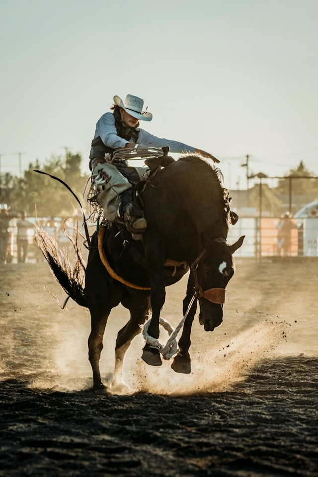 tim-mossholder-hAzy3tpJPaI-unsplash.jpg