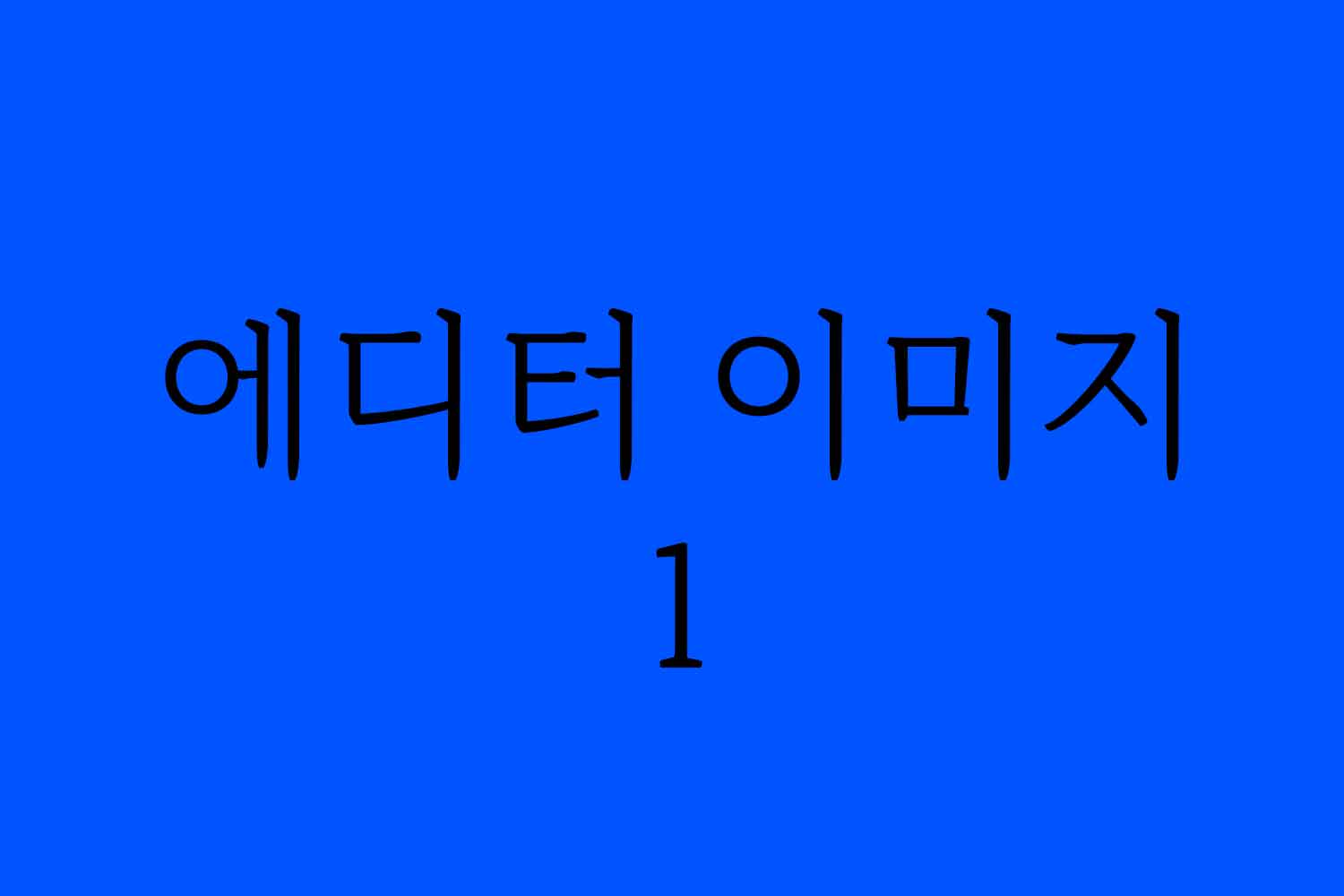 e1.jpg